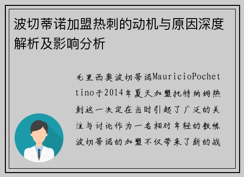 波切蒂诺加盟热刺的动机与原因深度解析及影响分析