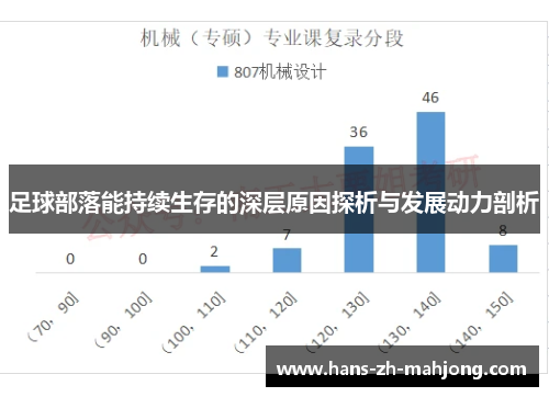 足球部落能持续生存的深层原因探析与发展动力剖析